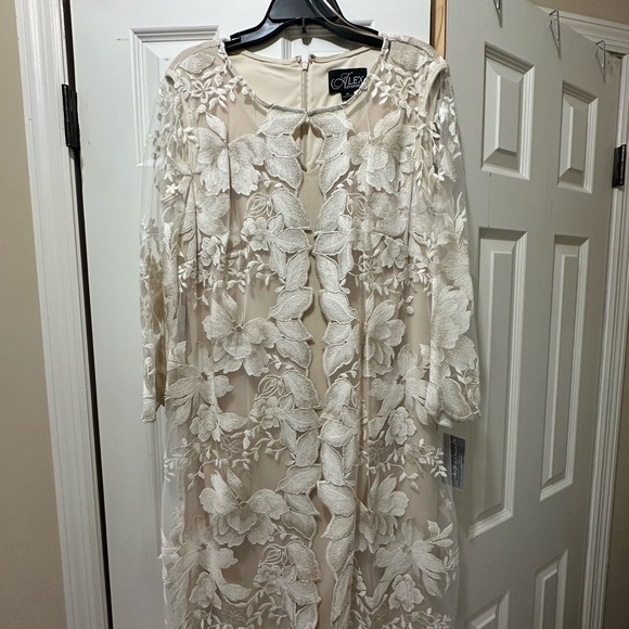 Alex Evenings Cream and Tan Long Sleeve Gown